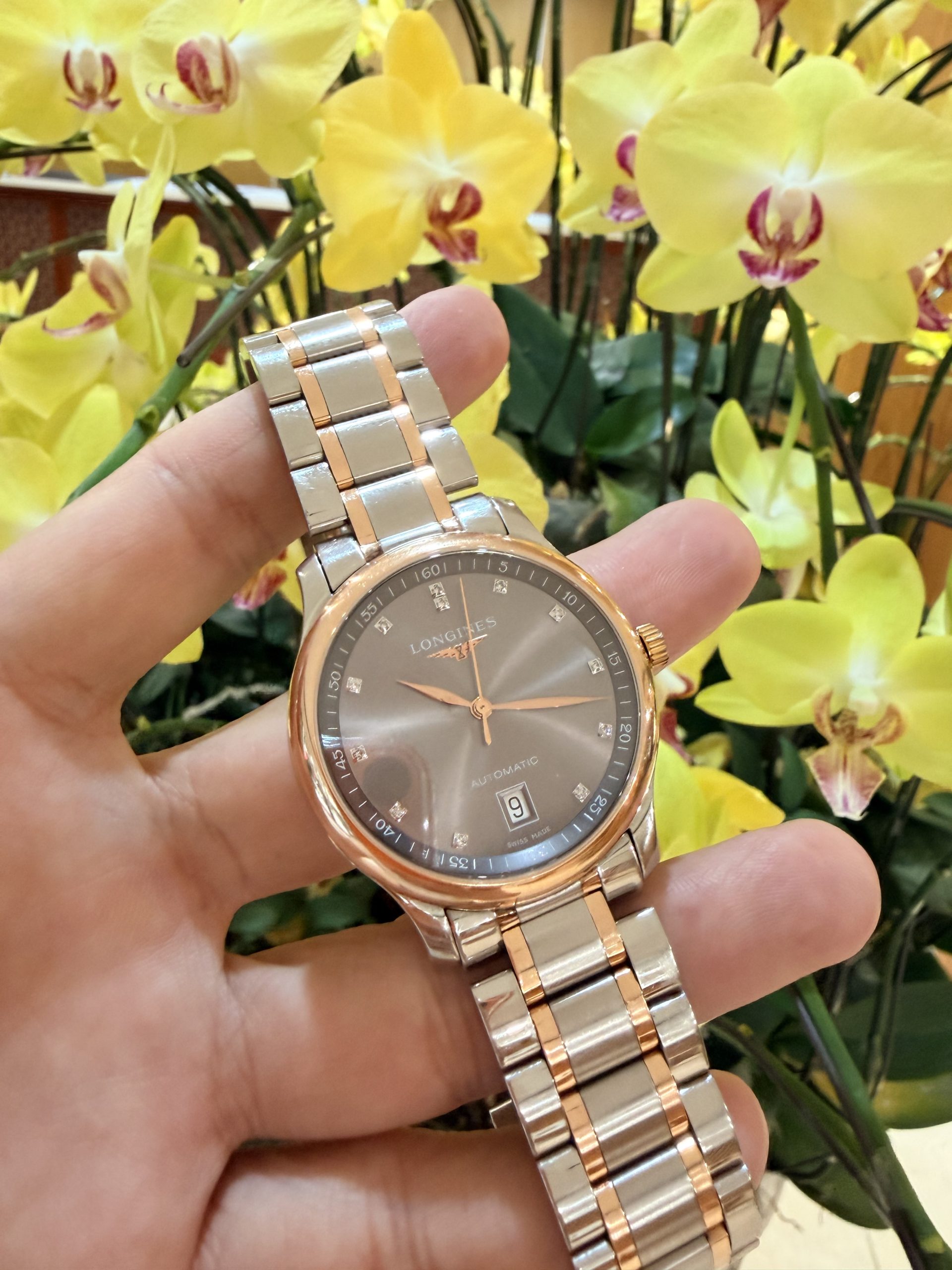 Longines Master Diamonds Rhodium (rất hiếm), Demi Vàng hồng 18k, Size 38.5mm, Máy đời mới L888 trữ cót 65h, Like new fullbox date cao 2025